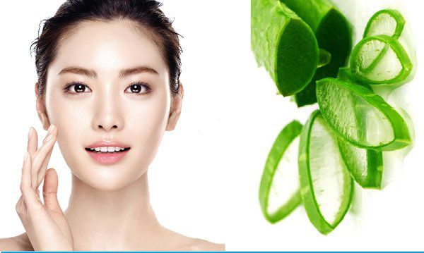 Công ty Cổ Phần Dược Tesla - Trang chủ | Dược phẩm